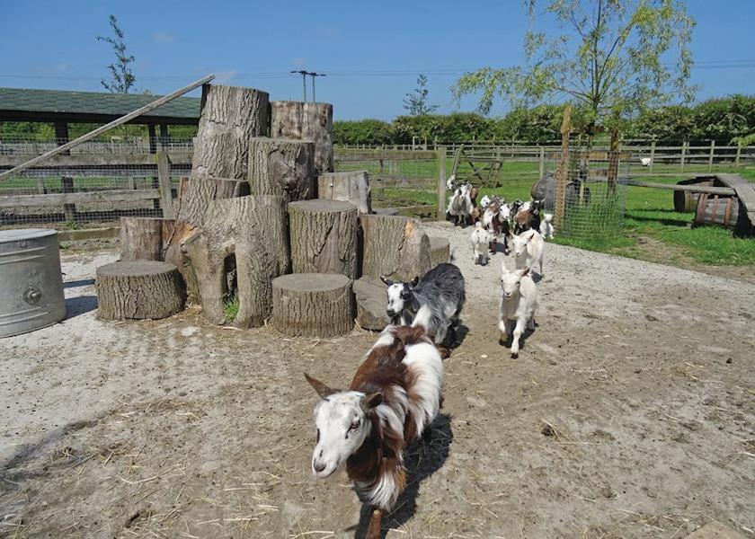Barmston Farm Otel Kingston upon Hull Dış mekan fotoğraf