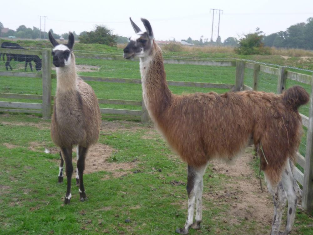 Barmston Farm Otel Kingston upon Hull Dış mekan fotoğraf